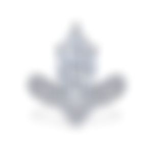 Кольцо из белого золота с бриллиантом 4.19 карата