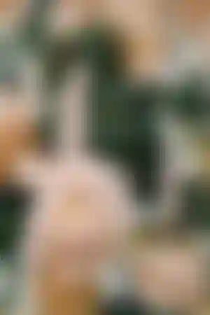 Елка Parure Atelier будет сверкать в Stella di Mosca до 13 января.