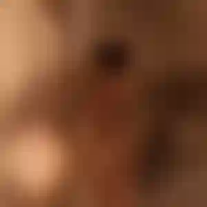 Встречайте Muses