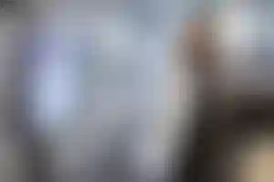 Так же в программе была лекция «История шкатулки для украшений.