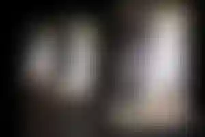 Витрины оформлены