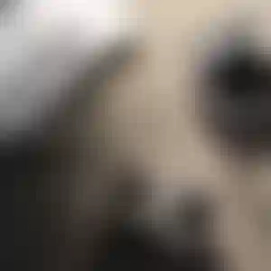 Определите подходящую для себя огранку