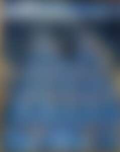 “Парижские мосты” Ришара Жераняна