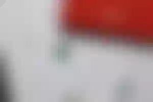 Представляем «сердце Урала» — редчайший изумруд аукционного качества