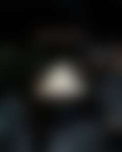 During this unique experience,